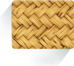 Bamboo